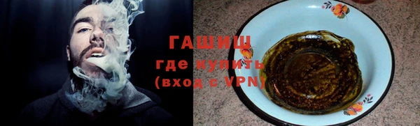 PSILOCYBIN Алзамай