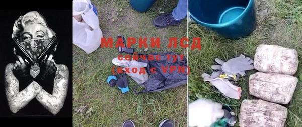 PSILOCYBIN Алзамай