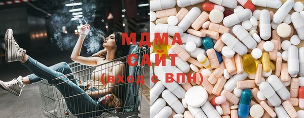 PSILOCYBIN Алзамай