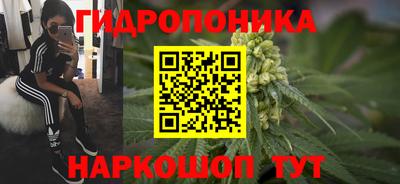 spice Пушкино