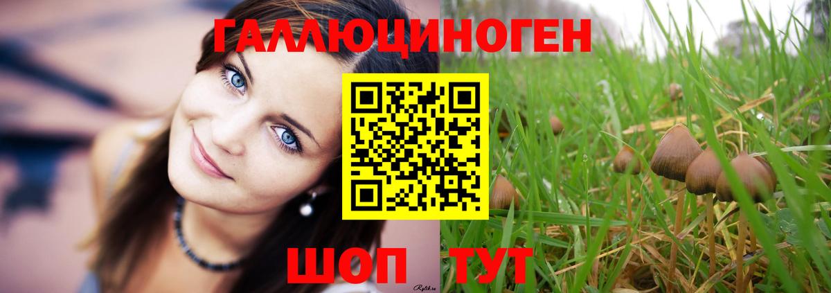 Псилоцибиновые грибы Psilocybine cubensis  Вход с VPN  что такое   Череповец 